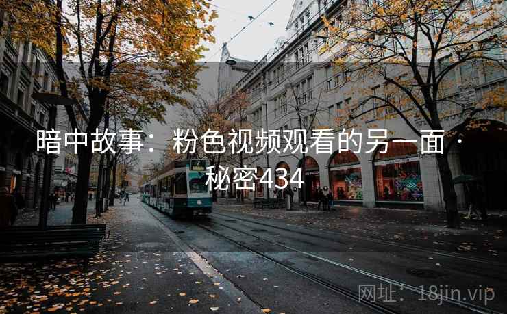 暗中故事：粉色视频观看的另一面 · 秘密434