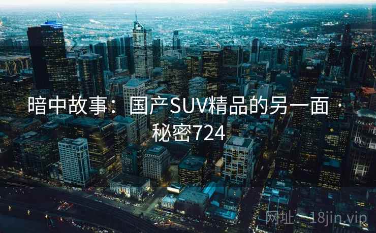暗中故事：国产SUV精品的另一面 · 秘密724