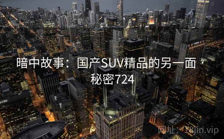 暗中故事：国产SUV精品的另一面 · 秘密724