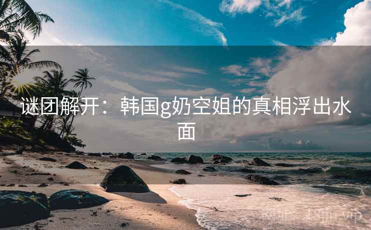谜团解开：韩国g奶空姐的真相浮出水面